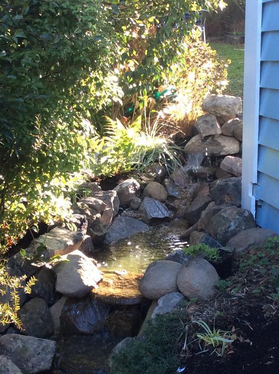 Castlewood Cottage Company Bay Exterior foto